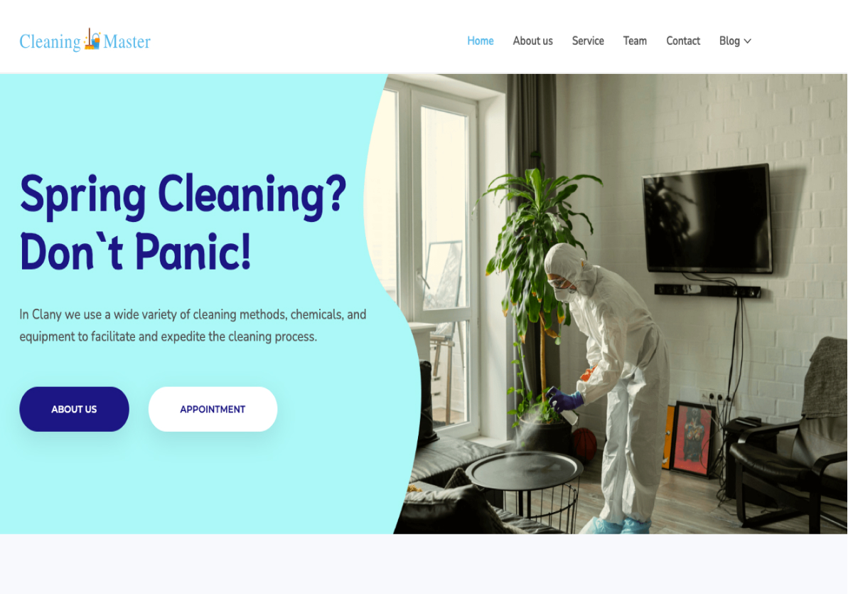 Cleaning Master Website